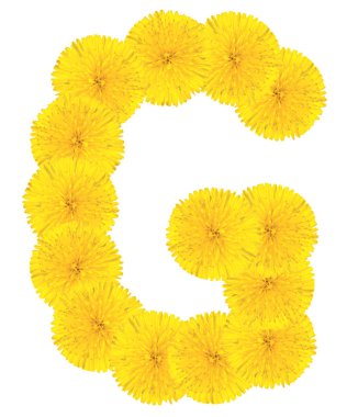Dandelions yapılan harf g