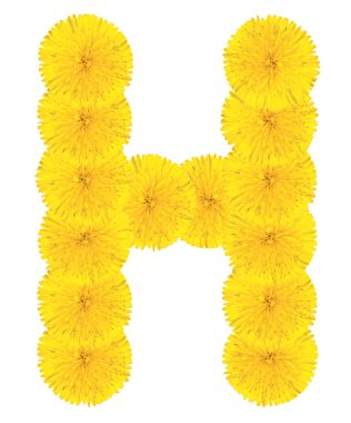 Dandelions yapılan harf h