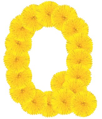 Dandelions yapılan harf q