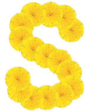 Dandelions yapılan harf s