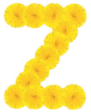 Dandelions yapılan harf z