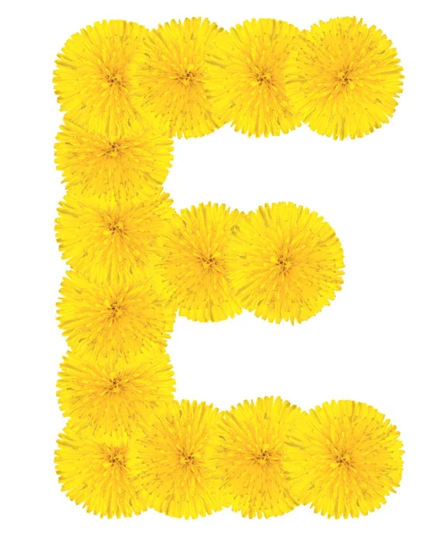 Letter E made from dandelions — Stock Photo, Image