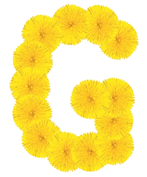 Dandelions yapılan harf g