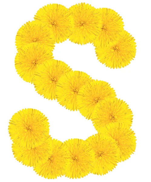 Letter S made from dandelions — Stock Photo, Image