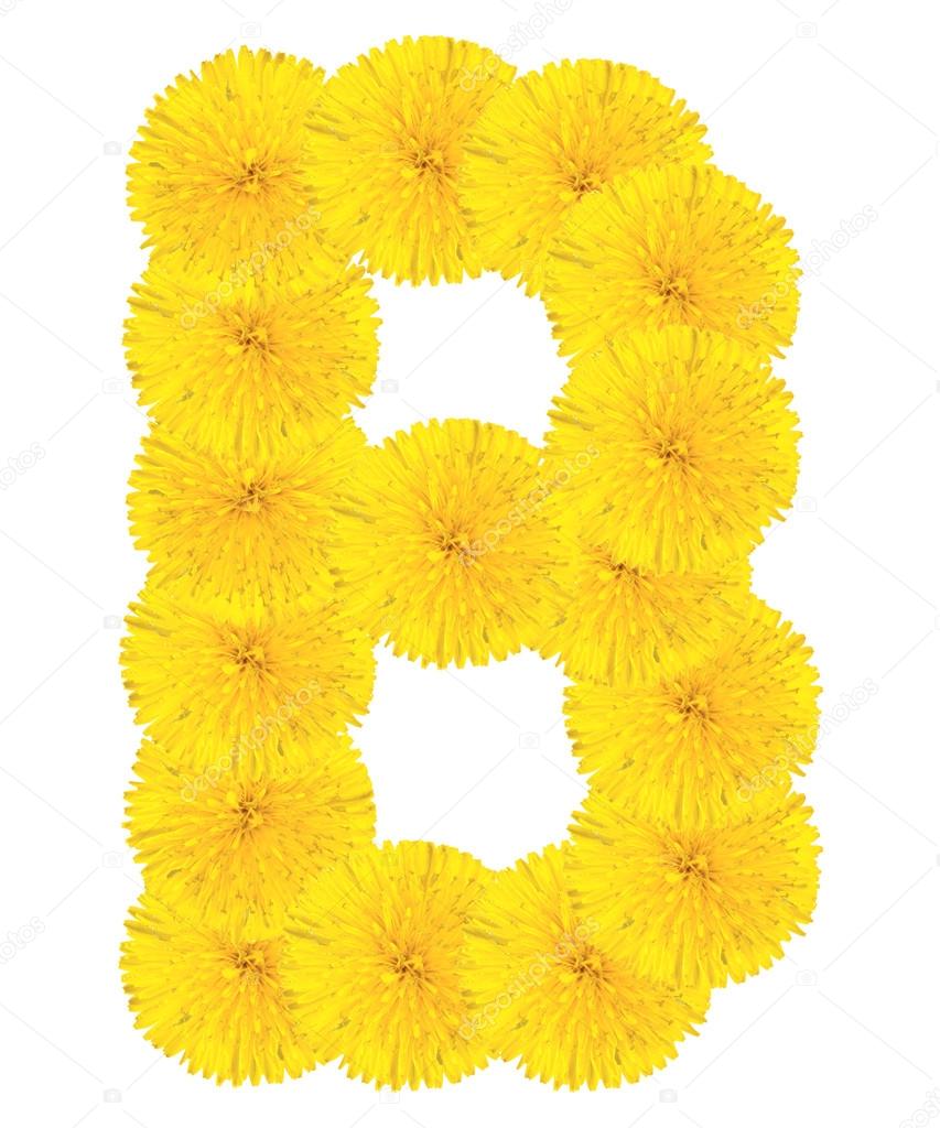Letter B made from dandelions