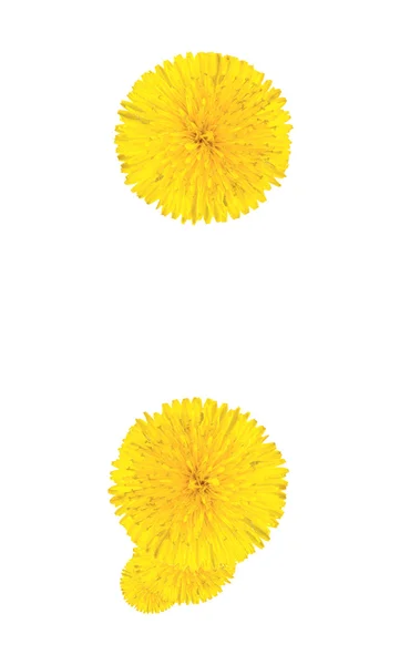 Punctuation marks made from dandelion flower — Stock Photo, Image