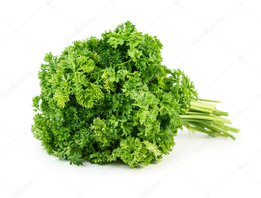 Parsley Stock Photo by ©Valengilda 46116701