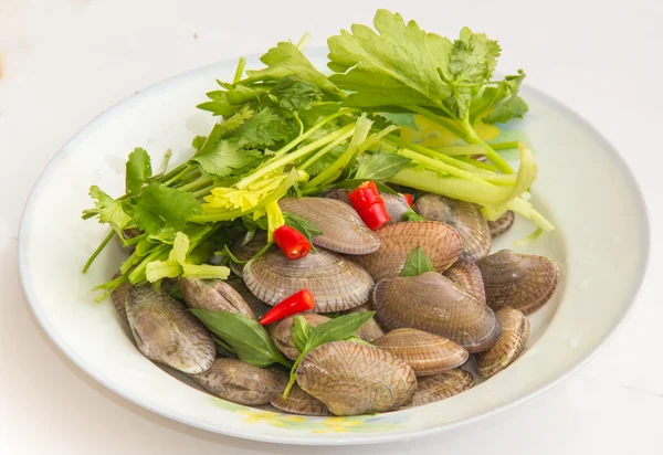 Ruditapesphilippinarum