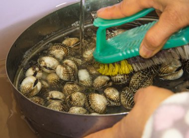 cleaning quebec cockles