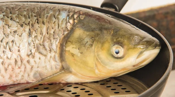 Çin yemeği Güney Çin bahar festivali..... ctenopharyngodon idellus için