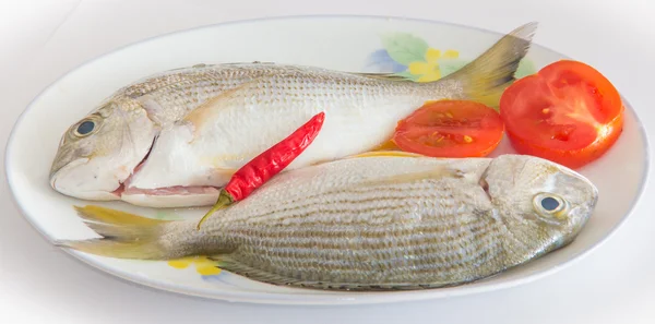 sarpa tumifrons ve acı biber