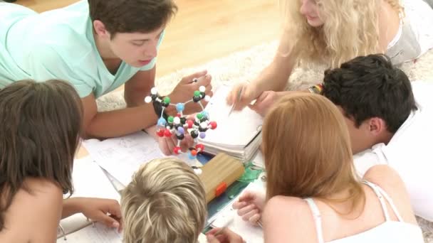 Teens doing homework together — Stock Video