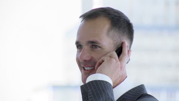 Бизнесмен разговаривает по мобильному телефону в офисе — стоковое видео
