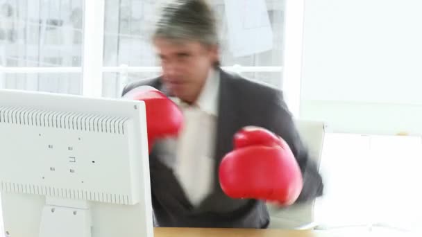 Angry businessman wearing boxing gloves — Stock Video