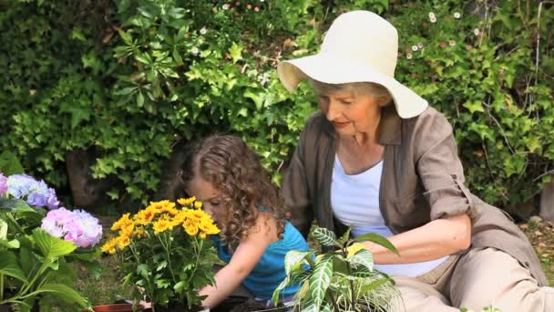 Old woman and her granddaughter gardening together — Stock Video