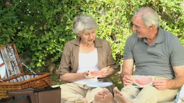 Пожилая пара пирует на пикнике — стоковое видео