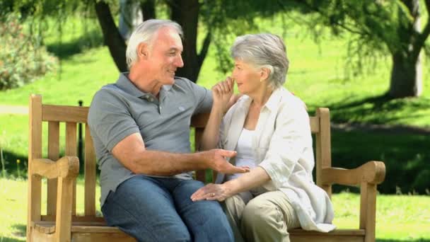 Elderly couple sitting on a bench and talking — Stock Video