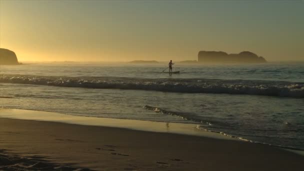 Osoby w podeszłym wieku człowiek spacery podczas zachodu słońca — Wideo stockowe