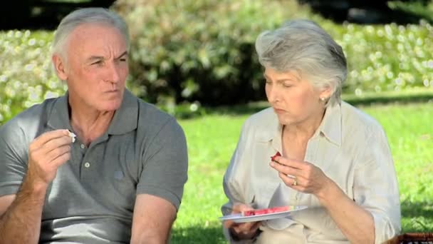 老人は彼の妻とピクニックにごちそうを食べる — ストック動画