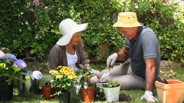 Vieil homme jardinage avec sa femme — Video