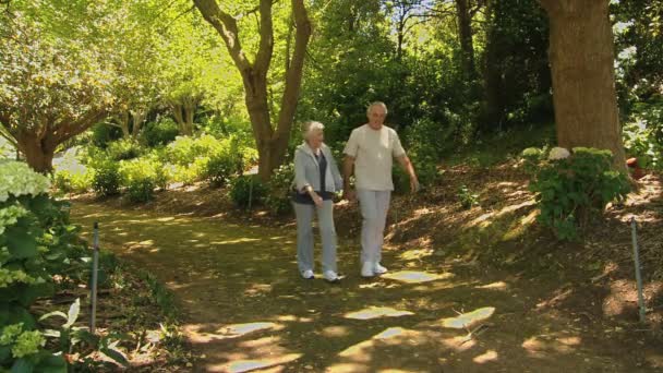 Pareja de ancianos caminando — Vídeo de stock