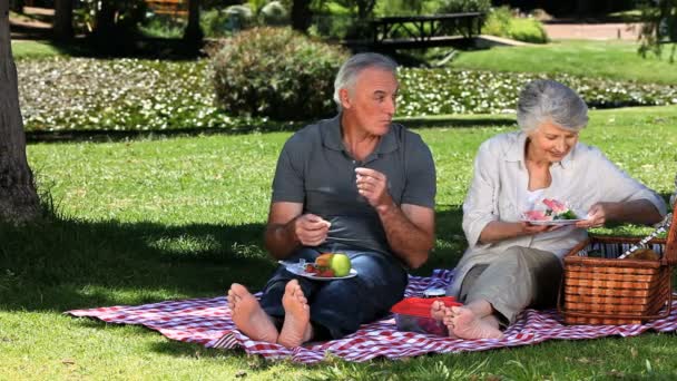 Vecchia donna che banchetta al picnic con suo marito — Video Stock