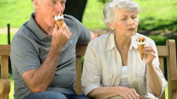 Bejaarde echtpaar genieten van een icecream op een bankje — Stockvideo