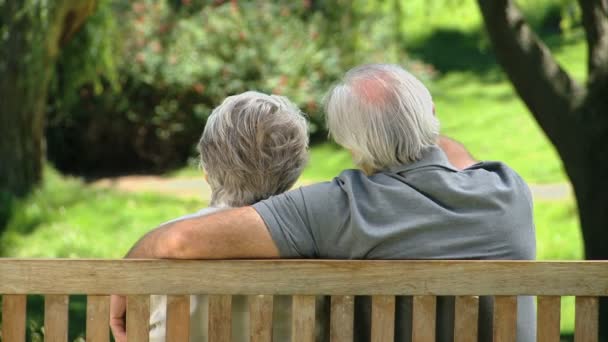 Gamle avkopplande med sin fru på en bänk — Stockvideo