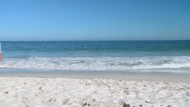 Aged man walking alone on the beach — Stock Video