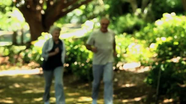 Bejaarde echtpaar nemen van een pauze na het lopen — Stockvideo