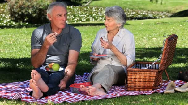 Vieja festejando en un picnic con su marido en la hierba — Vídeos de Stock