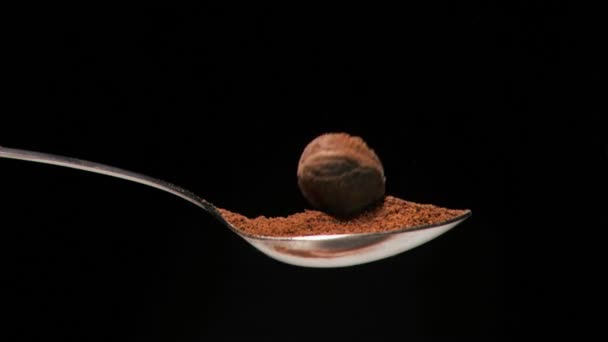 Brown nut falling in super slow motion in a spoon filled with powder — Stock Video