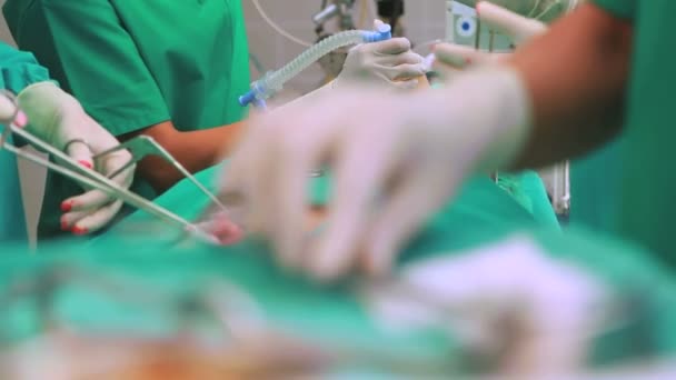 Surgeon operating with surgical tools — Stock Video