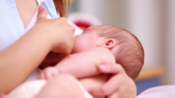 Madre amamantando a un recién nacido — Vídeos de Stock