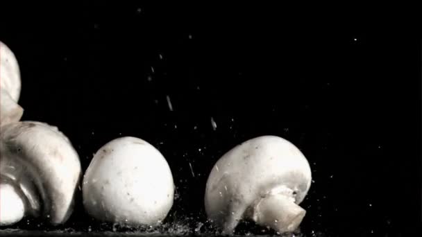 슈퍼 슬로우 모션 물 받는 버섯 — 비디오