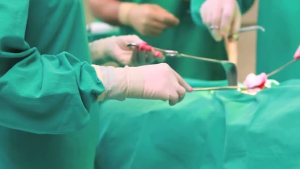 Surgeon doing an operation while holding surgical towel — Stock Video