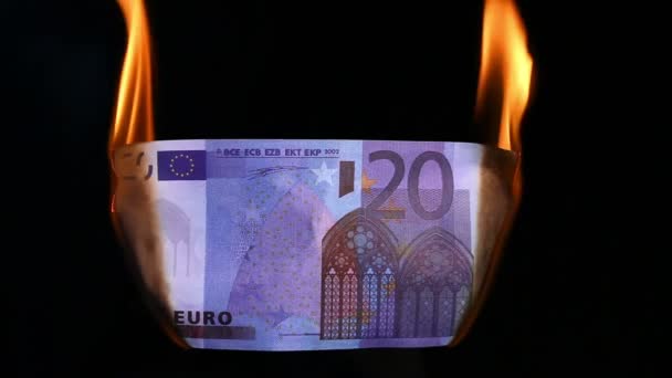 Euro banknote burning — Stock Video