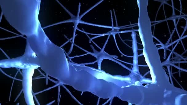 Neurons pulsing through blue nervous system — Stock Video