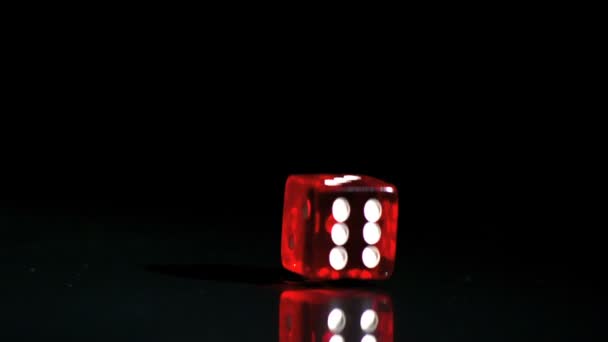 Red dice falling and bouncing close up — Stock Video