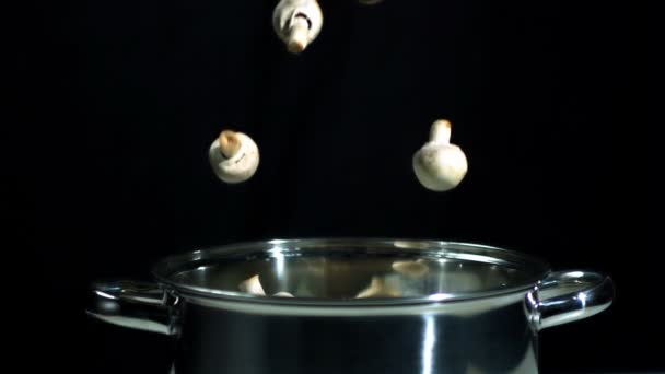 Mushrooms falling into silver pot — Stock Video