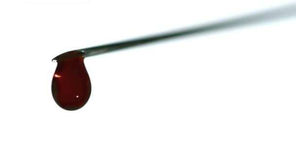Gota de sangue a cair da agulha — Vídeo de Stock