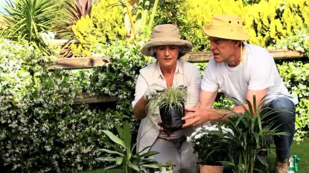 Jardinería pareja madura — Vídeos de Stock