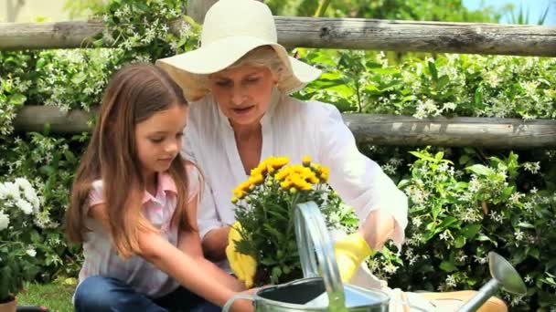 Молодая девушка занимается садоводством со своей бабушкой — стоковое видео