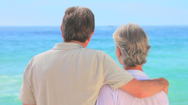 Mature couple talking in front of the sea — Stock Video