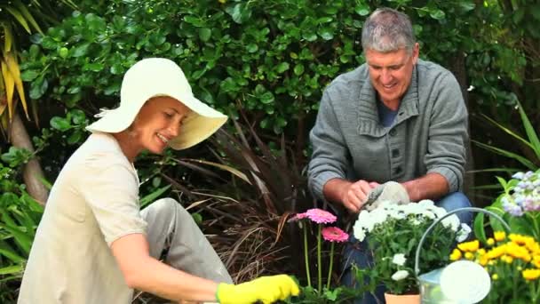 Pareja poniéndose sus sombreros y guantes de jardinería — Vídeos de Stock