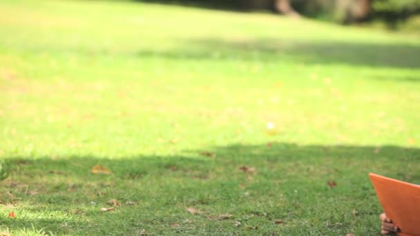 Jong meisje het lezen van een boek op het gras — Stockvideo