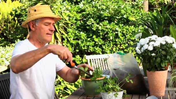 Man potting plants in the garden — Stock Video