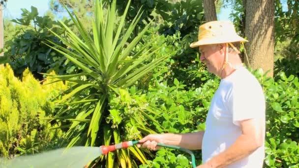 Muž zalévat svou zahradu — Stock video