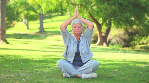 Madura mujer relajante — Vídeos de Stock