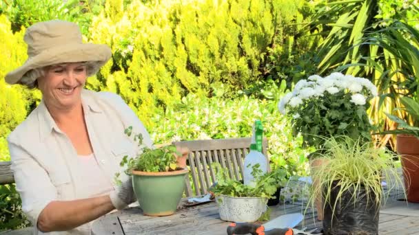 Mujer madura sonriendo mientras maceta una planta — Vídeos de Stock